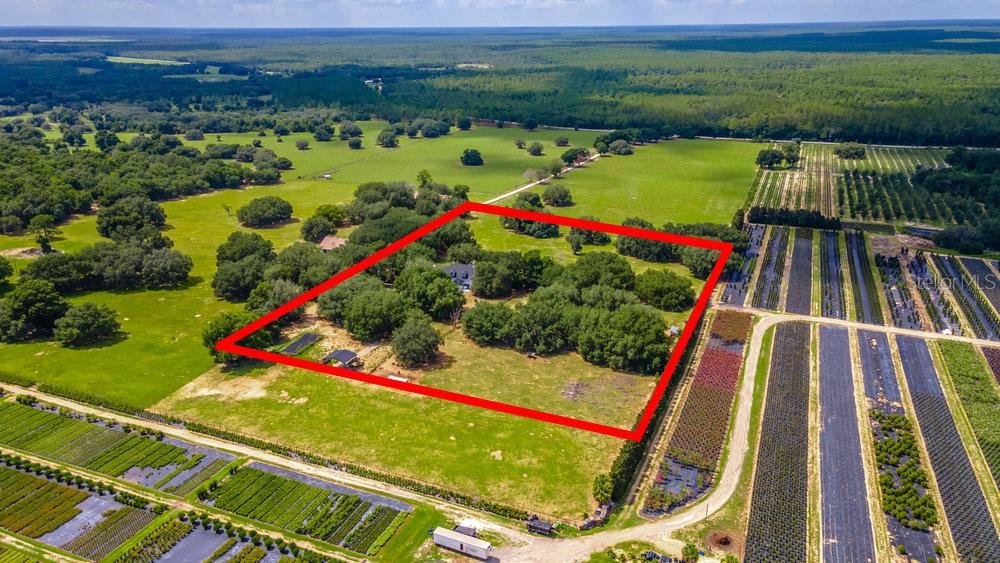 23100 SE HIGHWAY 42, UMATILLA, FL, 32784