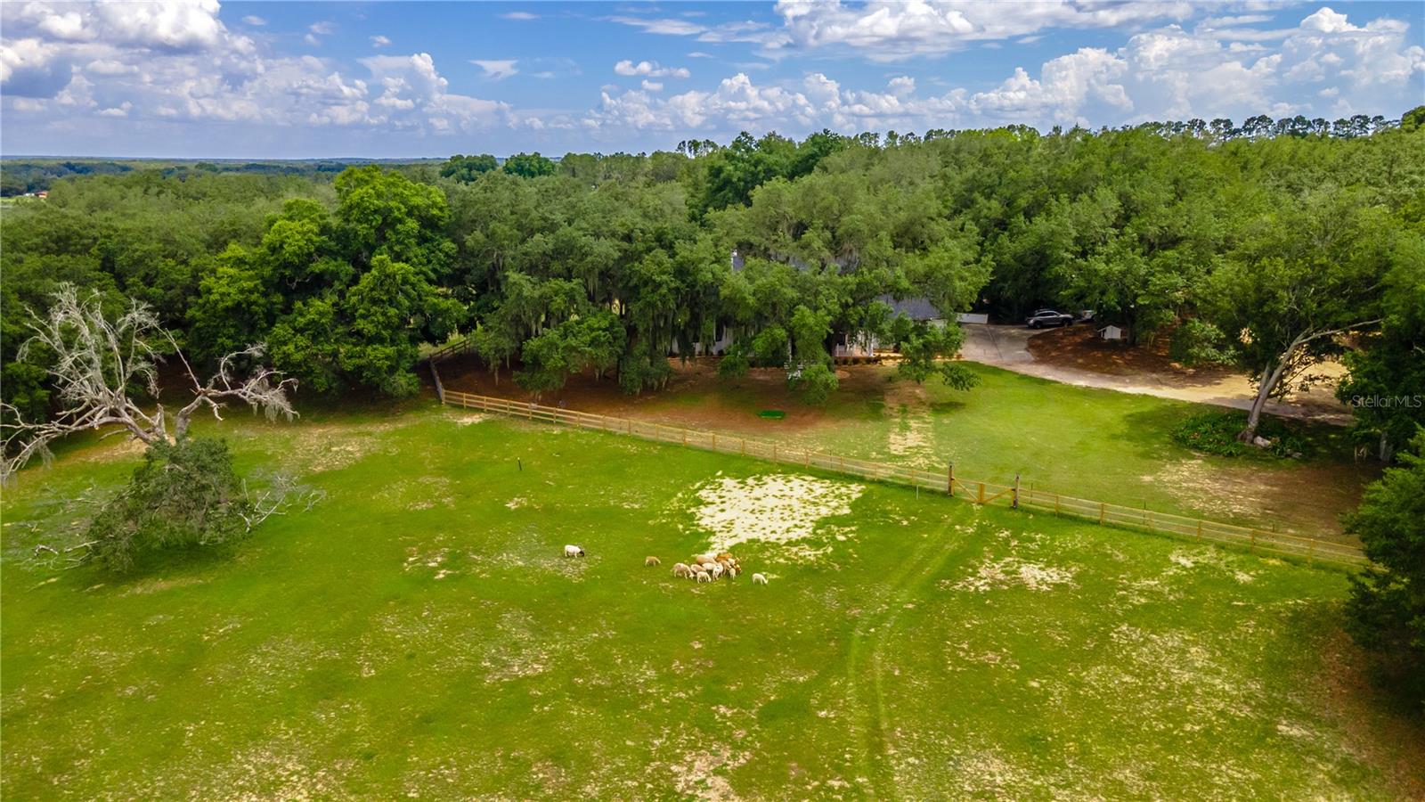 23100 SE HIGHWAY 42, UMATILLA, FL, 32784
