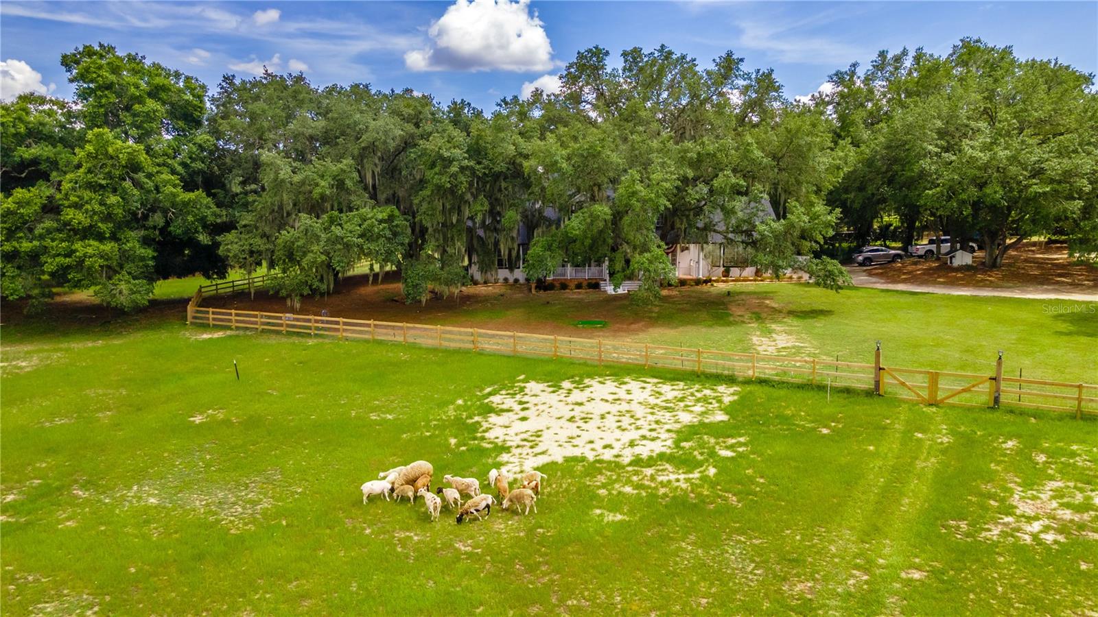 23100 SE HIGHWAY 42, UMATILLA, FL, 32784