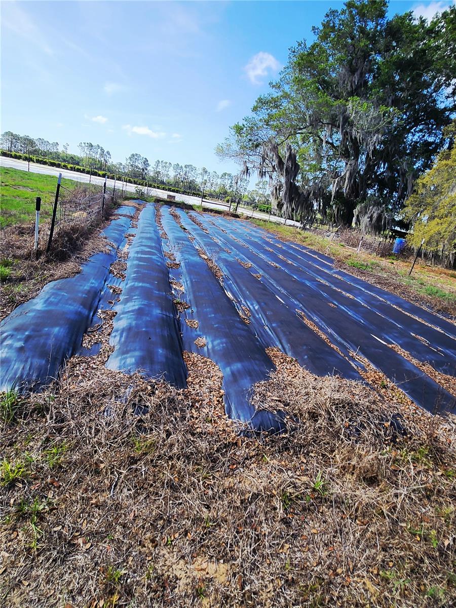 23100 SE HIGHWAY 42, UMATILLA, FL, 32784