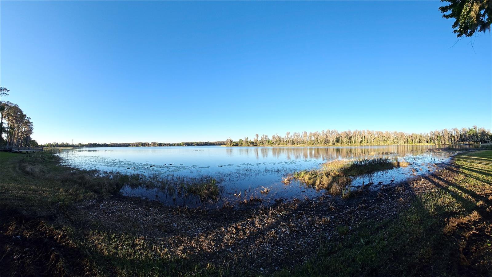 DEBUEL RD, LUTZ, FL, 33549