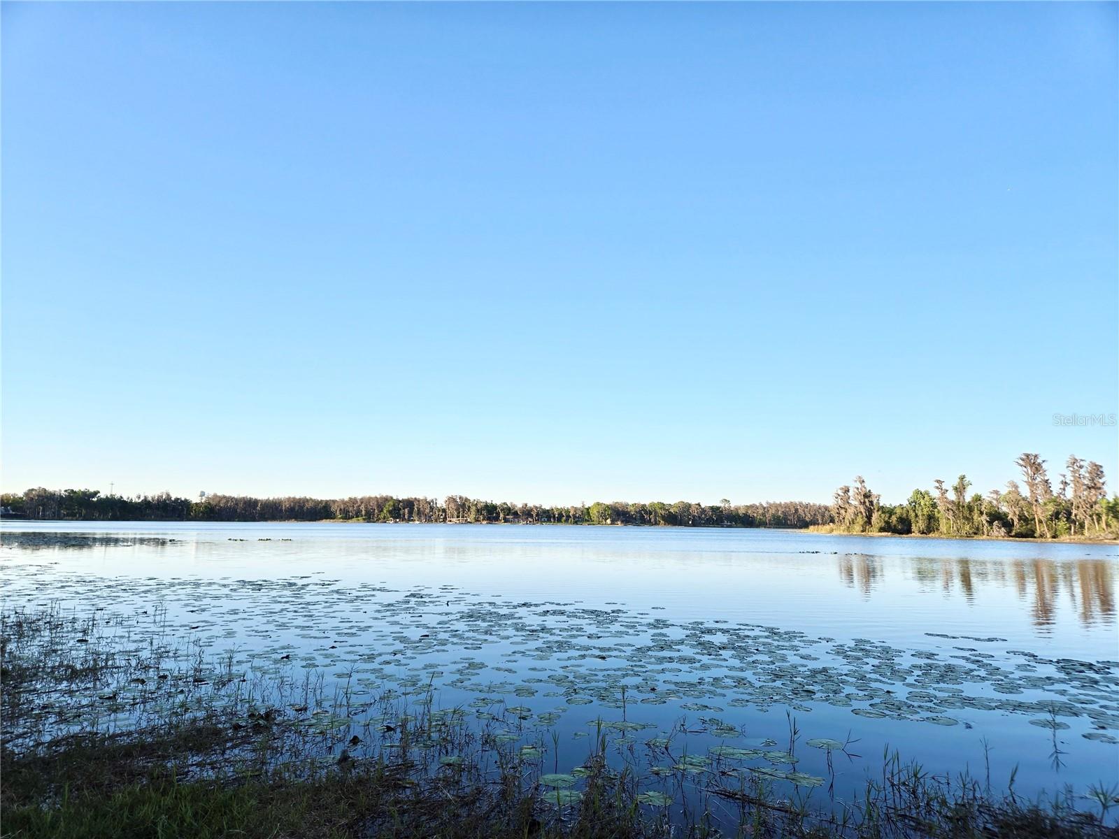 DEBUEL RD, LUTZ, FL, 33549