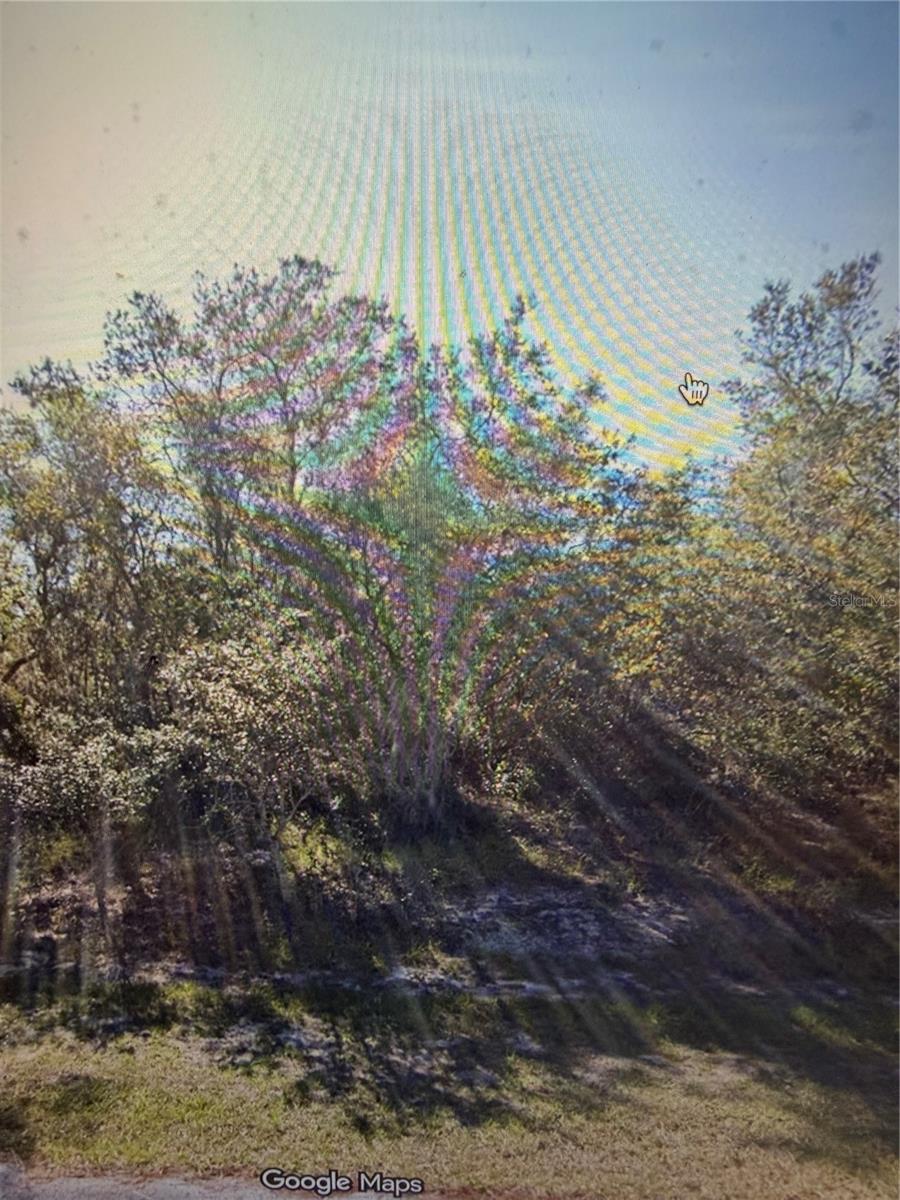 1348 TALLAHASSEE CT, KISSIMMEE, FL, 34759