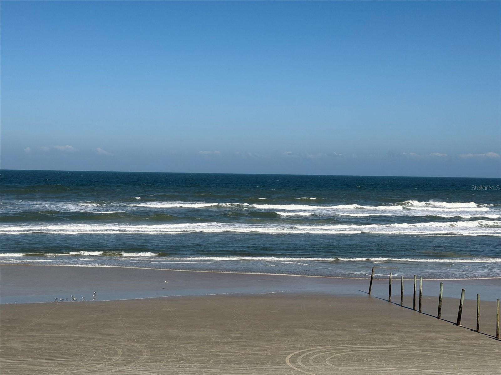 219 S ATLANTIC AVE #319, DAYTONA BEACH, FL, 32118