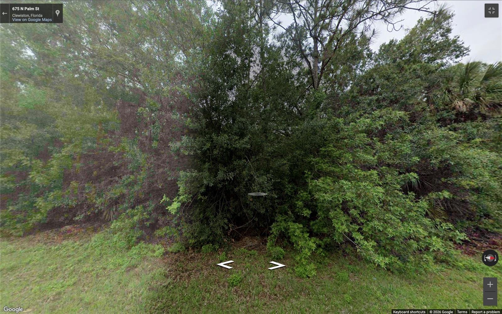 670 N PALM ST, CLEWISTON, FL, 33440
