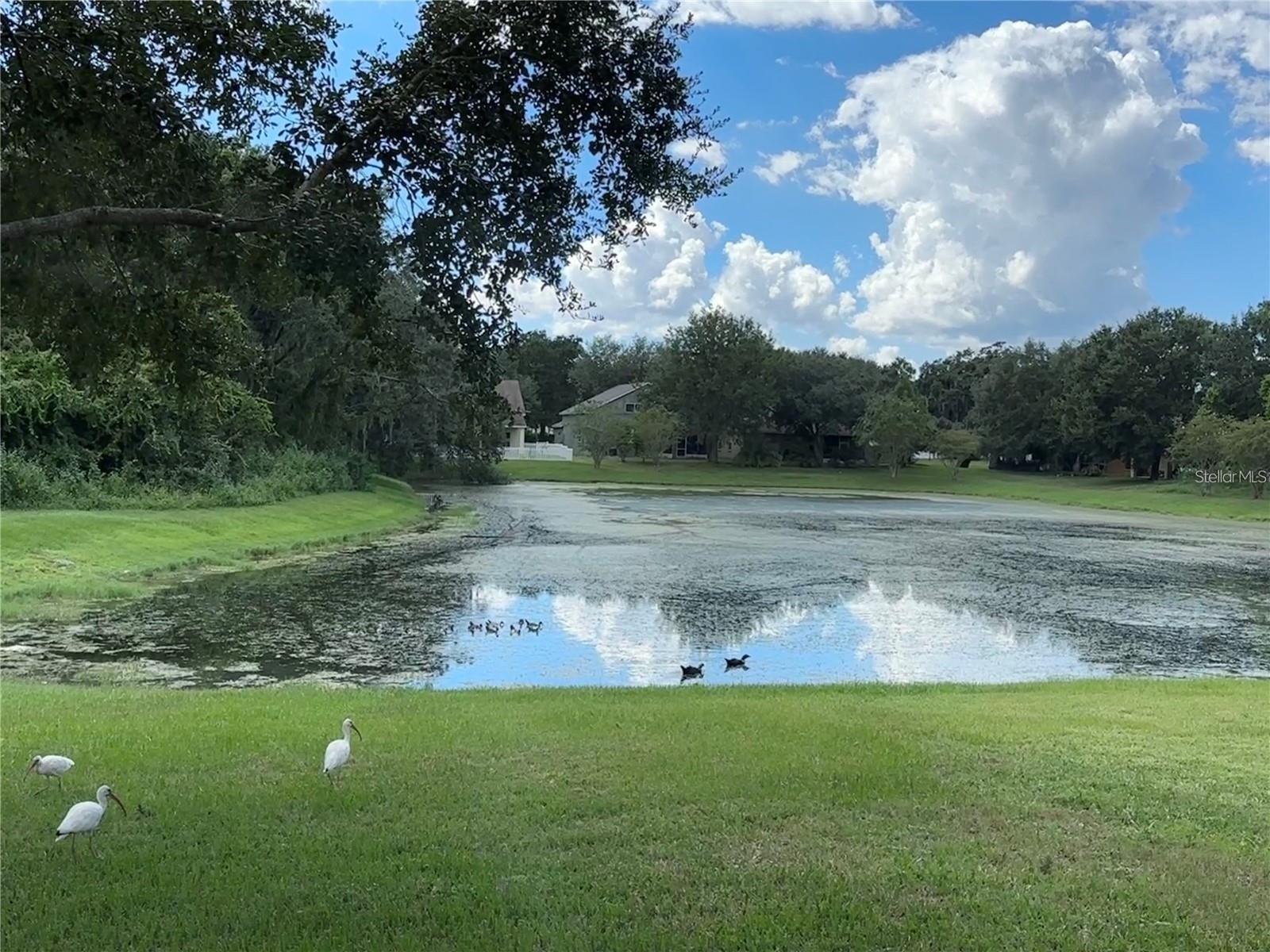 13016 TERRACE BROOK PL, TEMPLE TERRACE, FL, 33637