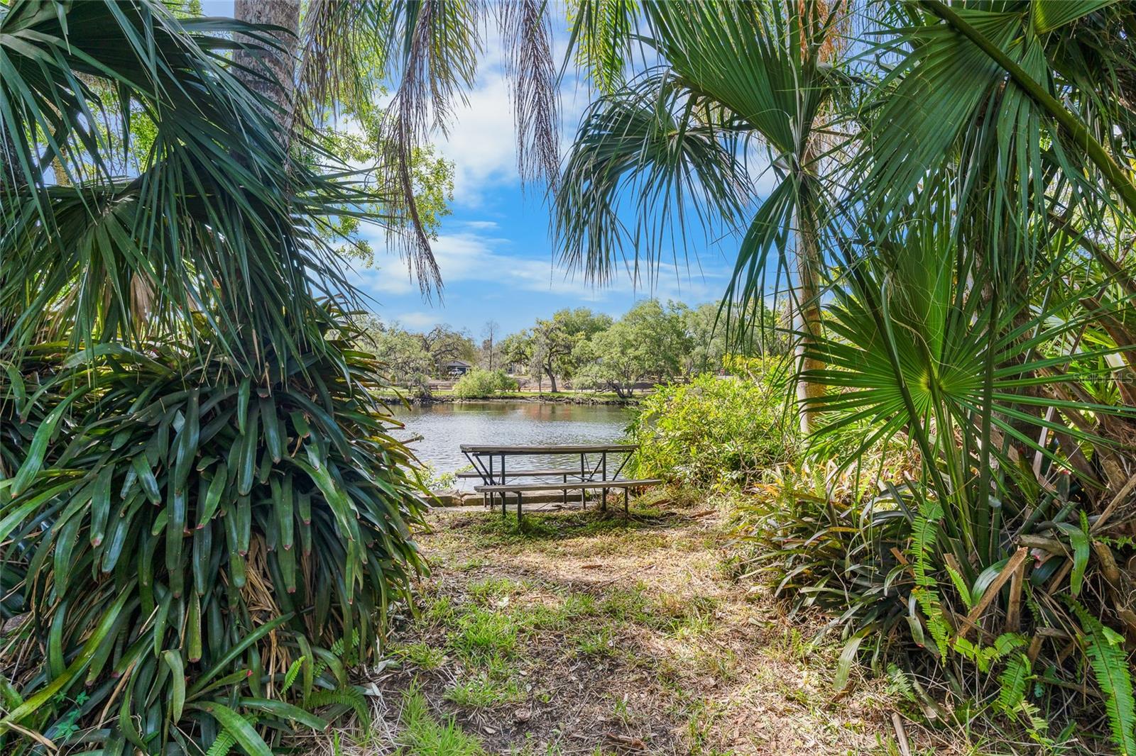 6605 N BOULEVARD, TAMPA, FL, 33604