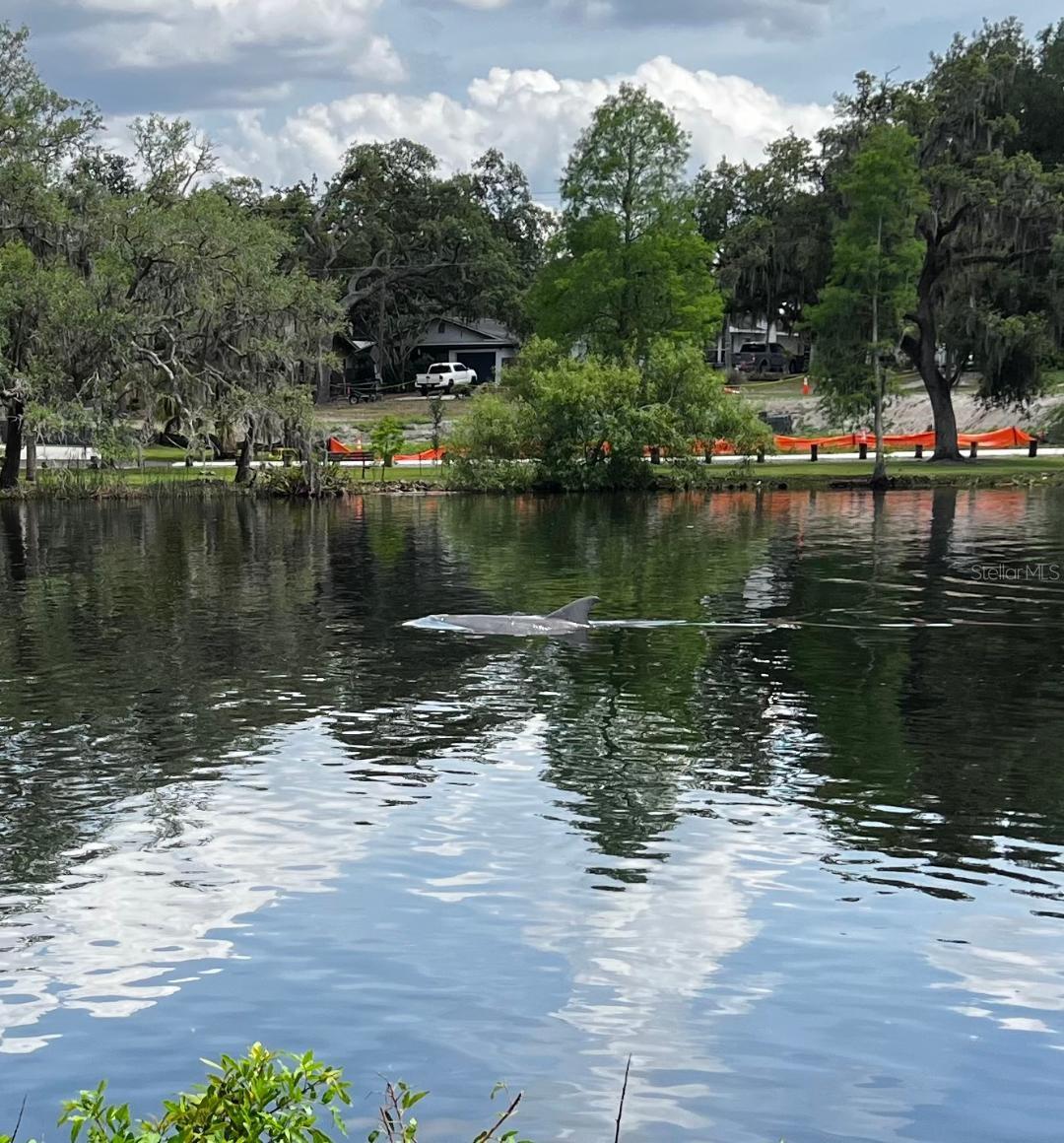 6605 N BOULEVARD, TAMPA, FL, 33604