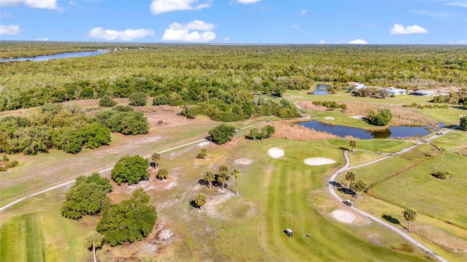 8268 SW SUNNYBREEZE RD, ARCADIA, FL, 34269