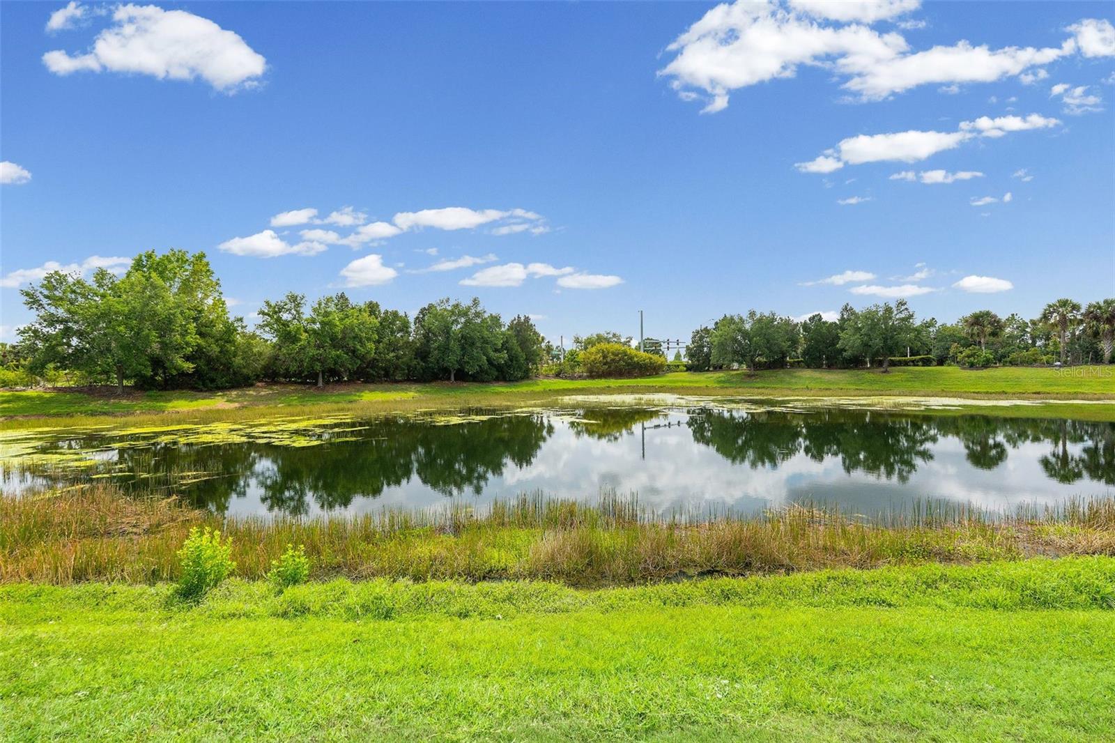 11904 FOREST PARK CIR, BRADENTON, FL, 34211