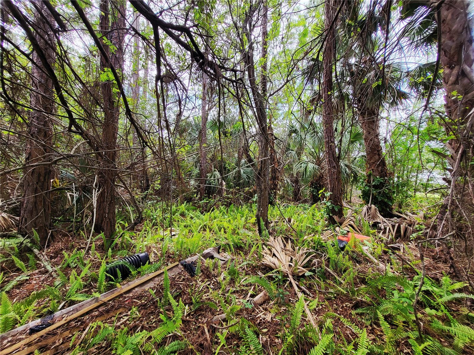 1720 LANTANA CT NW, PALM BAY, FL, 32907