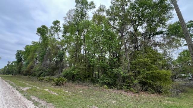 NW 37 CT, BRANFORD, FL, 32008