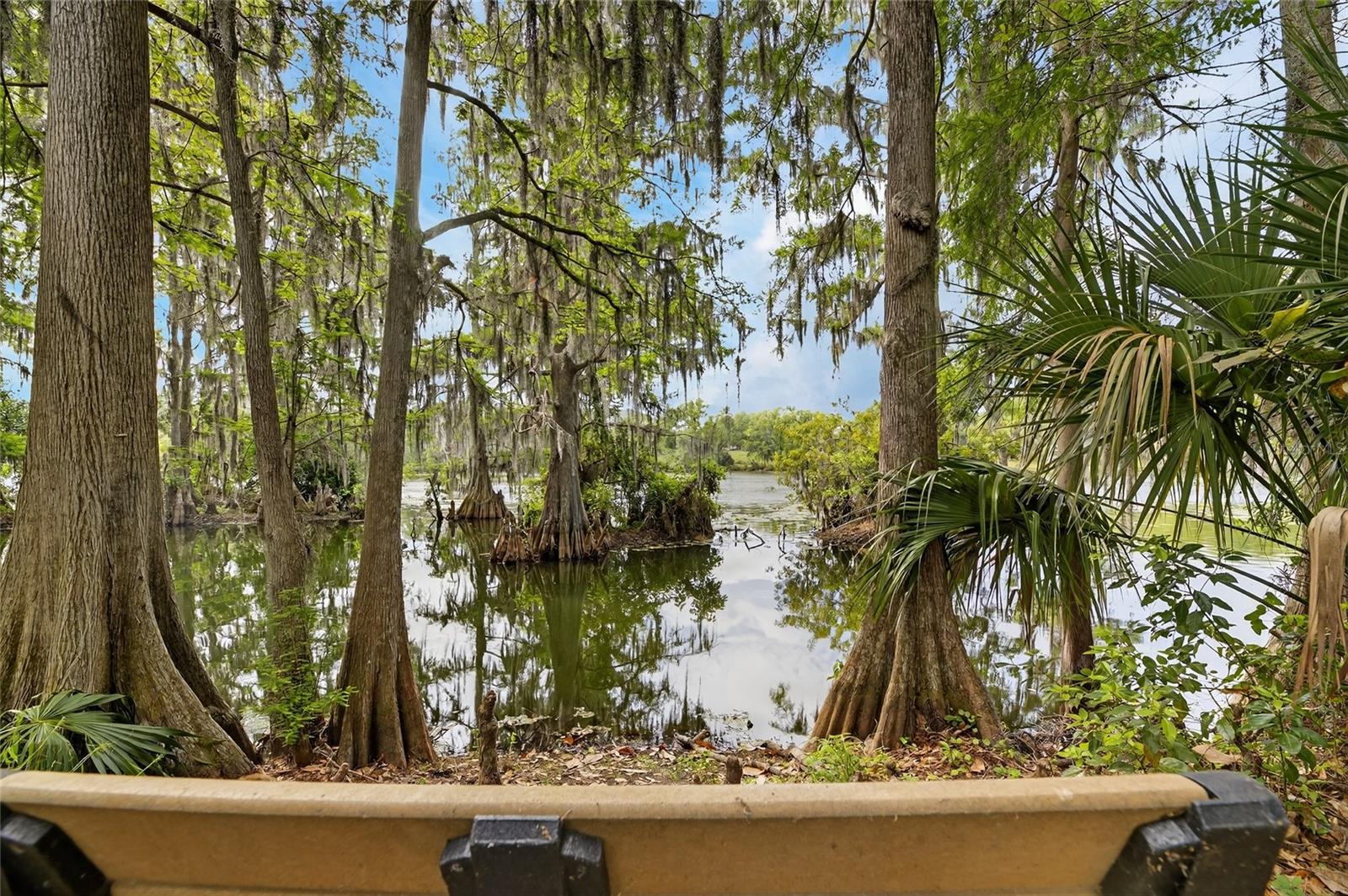 1008 W RIVER DR, TEMPLE TERRACE, FL, 33617
