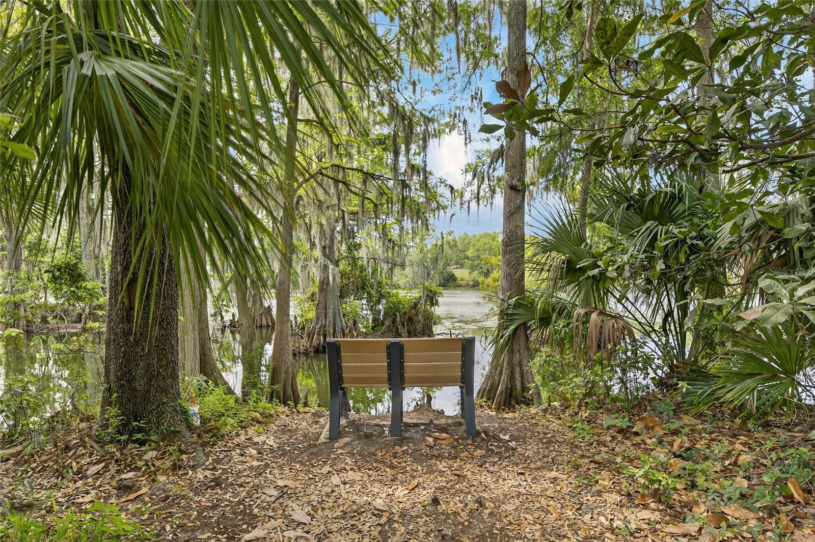 1008 W RIVER DR, TEMPLE TERRACE, FL, 33617