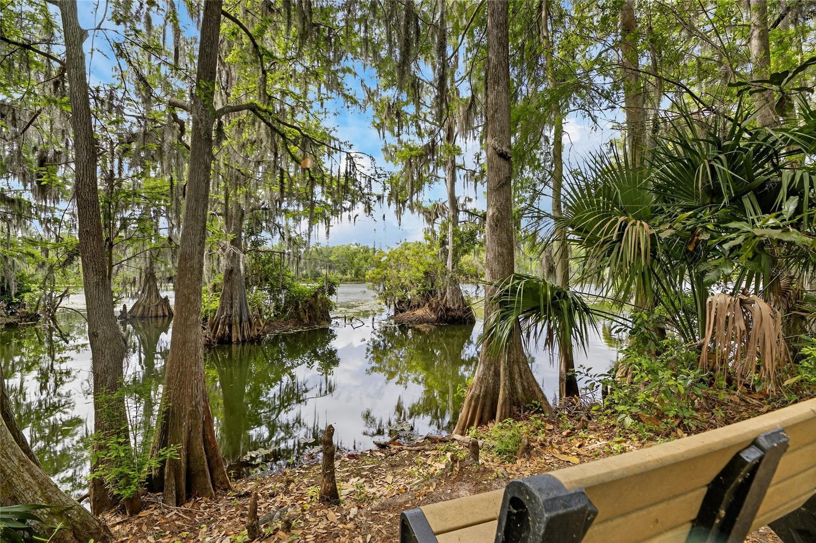 1008 W RIVER DR, TEMPLE TERRACE, FL, 33617