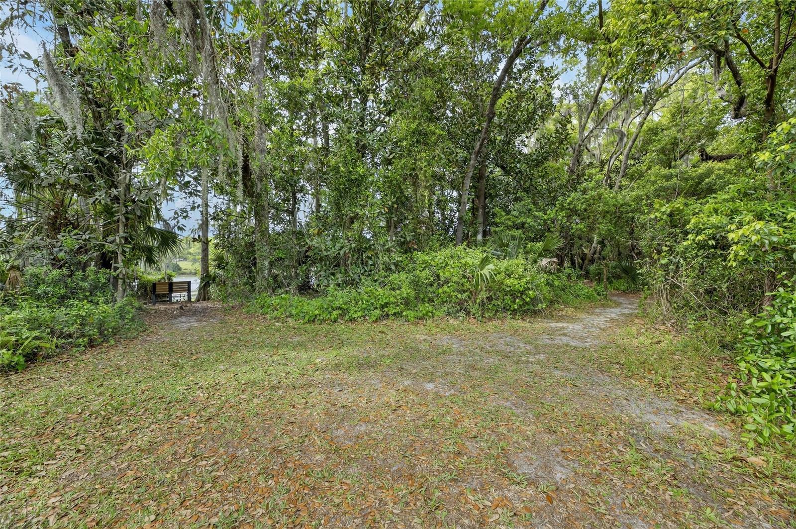 1008 W RIVER DR, TEMPLE TERRACE, FL, 33617