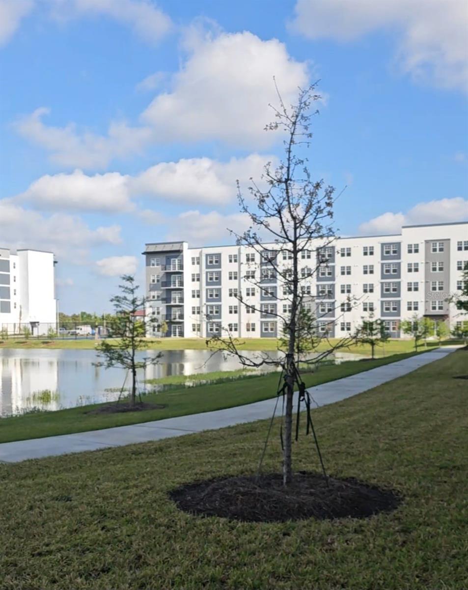 5587 MILLENIA PARK BLVD #315, ORLANDO, FL, 32839