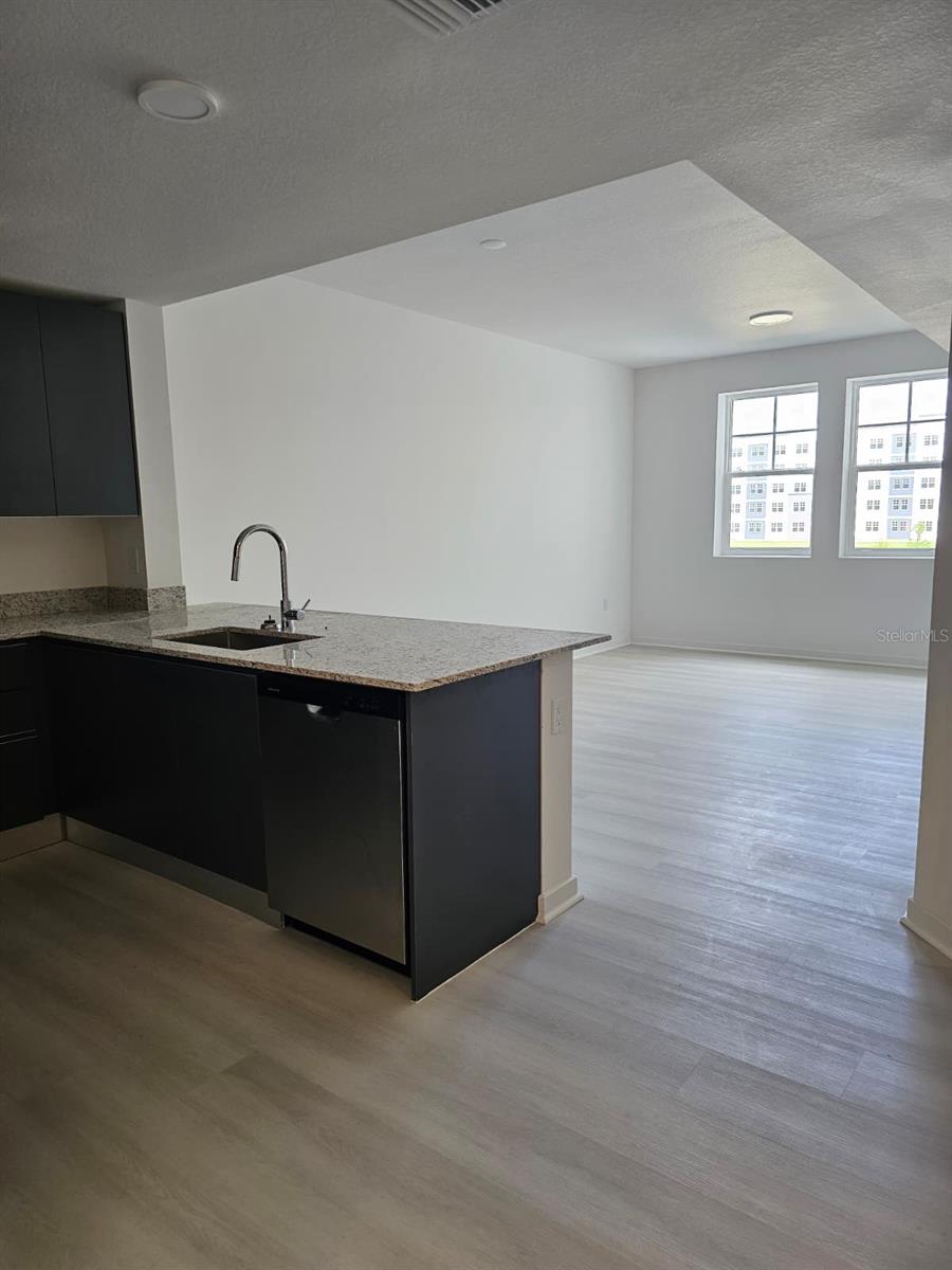 5587 MILLENIA PARK BLVD #315, ORLANDO, FL, 32839