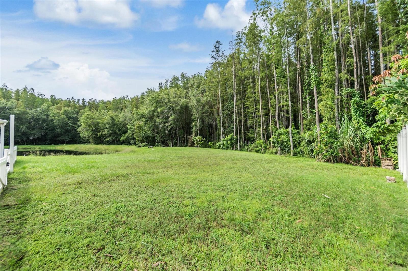 5923 BITTERWOOD CT, TAMPA, FL, 33625
