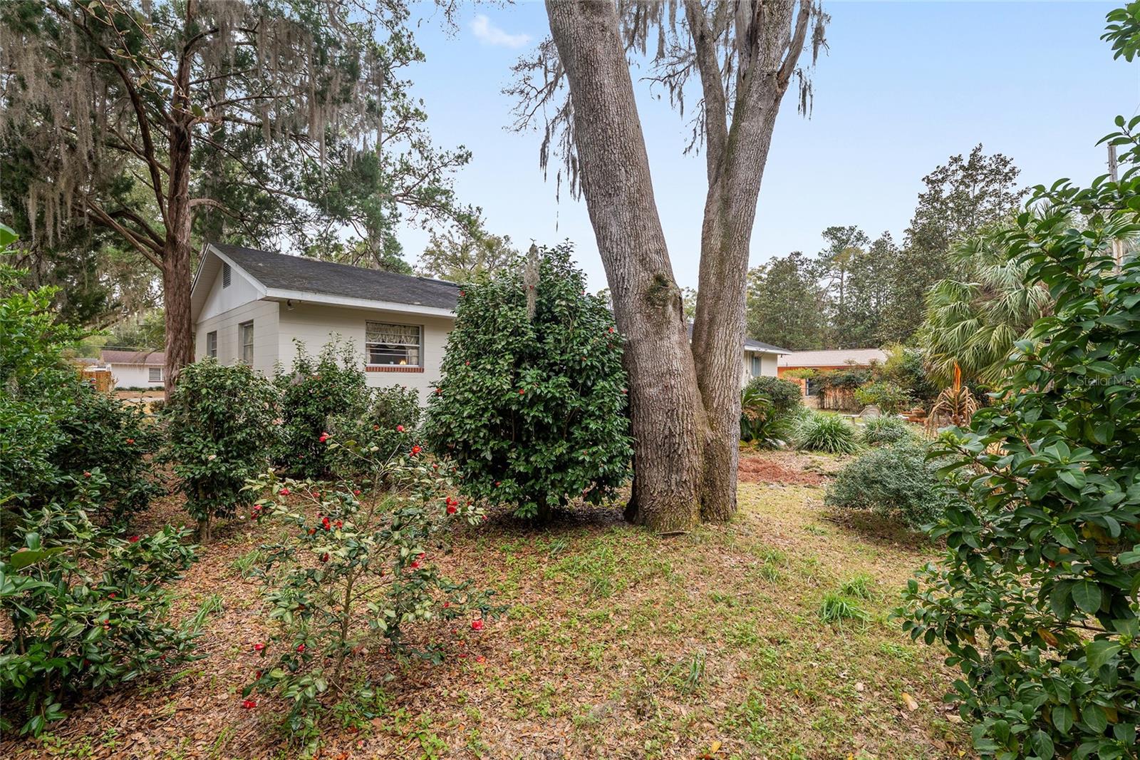 3710 NW 22ND PL, GAINESVILLE, FL, 32605