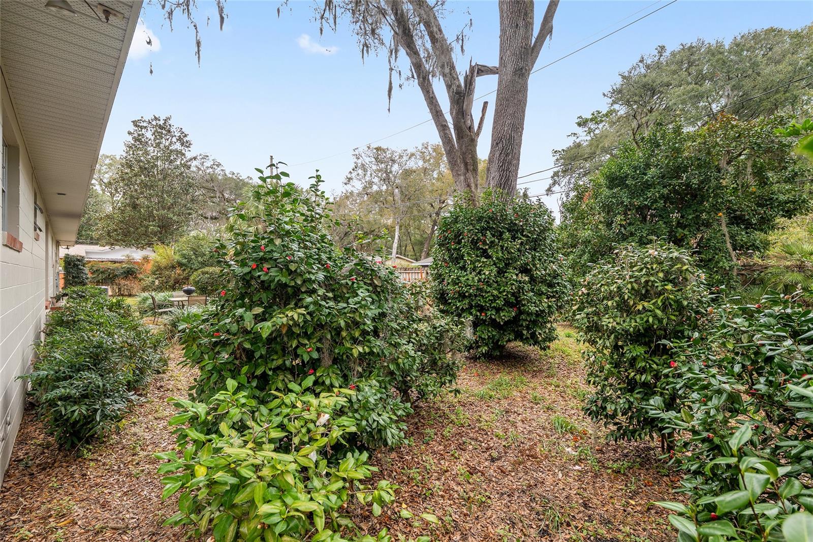 3710 NW 22ND PL, GAINESVILLE, FL, 32605
