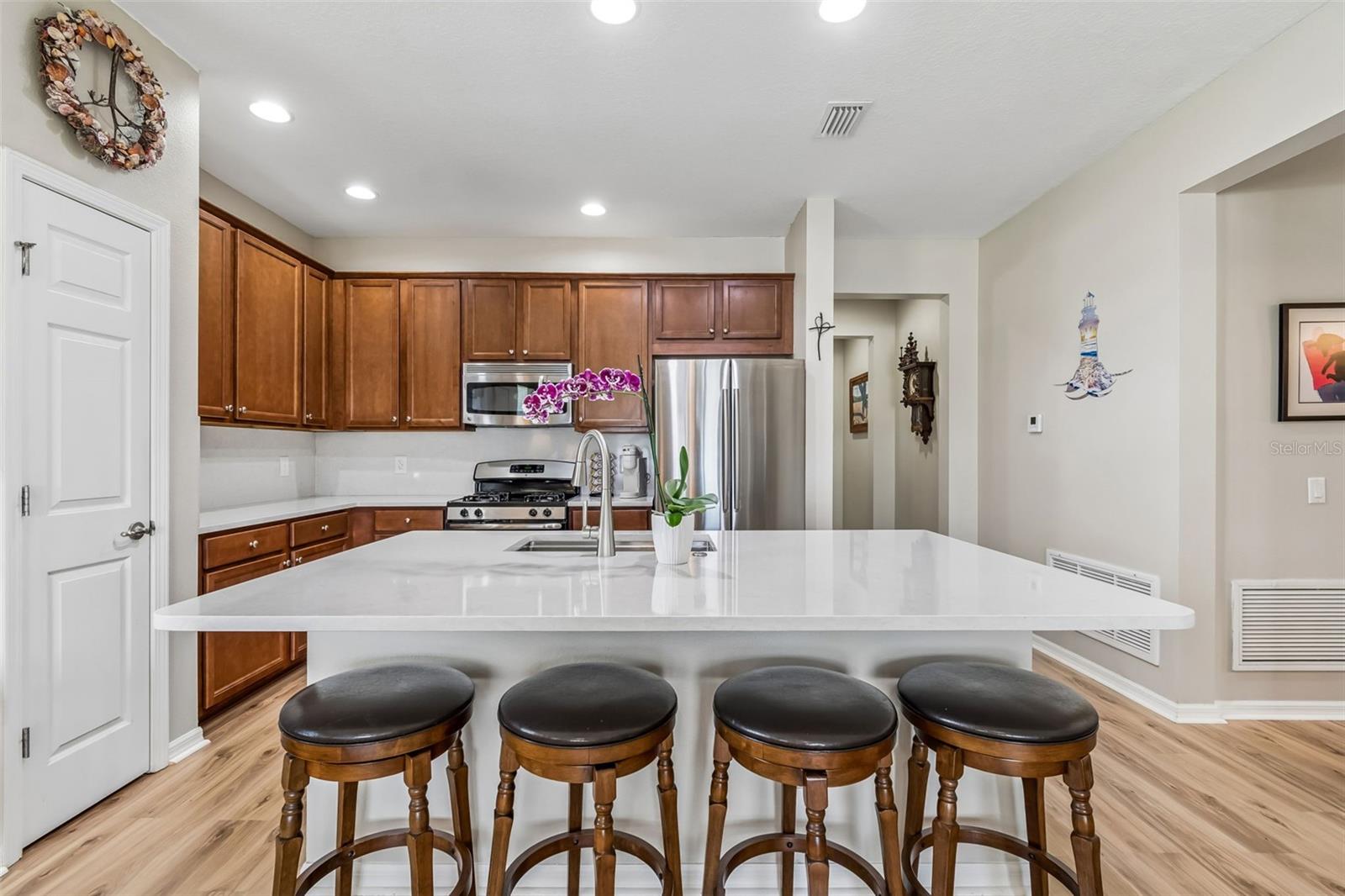 19110 SUNSET BAY DR, LAND O LAKES, FL, 34638