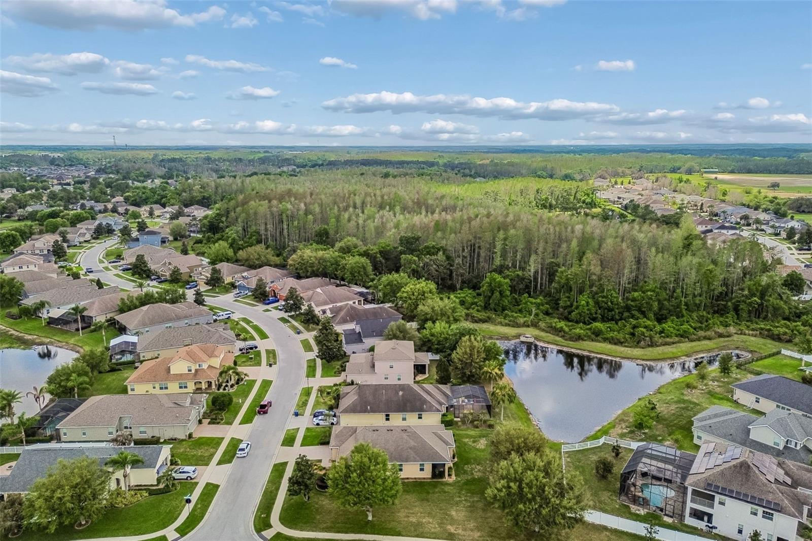 19110 SUNSET BAY DR, LAND O LAKES, FL, 34638