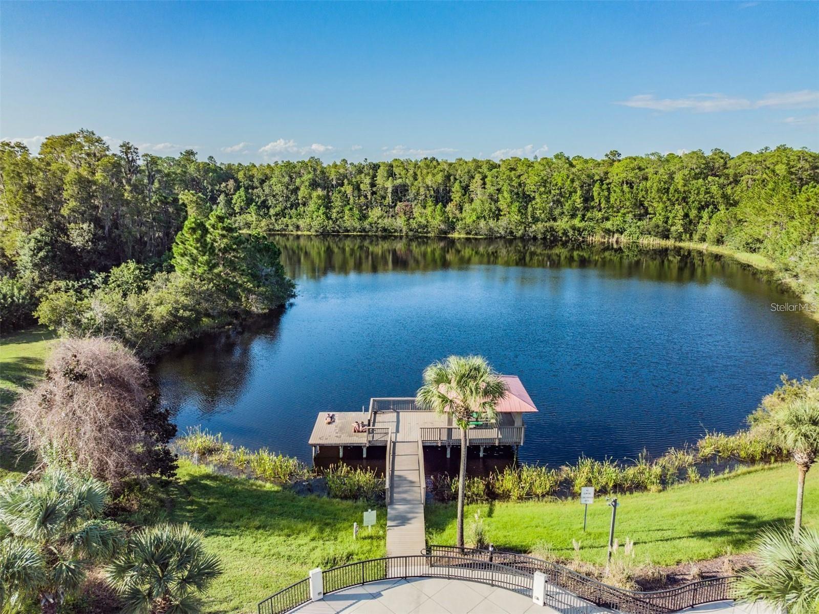 19110 SUNSET BAY DR, LAND O LAKES, FL, 34638