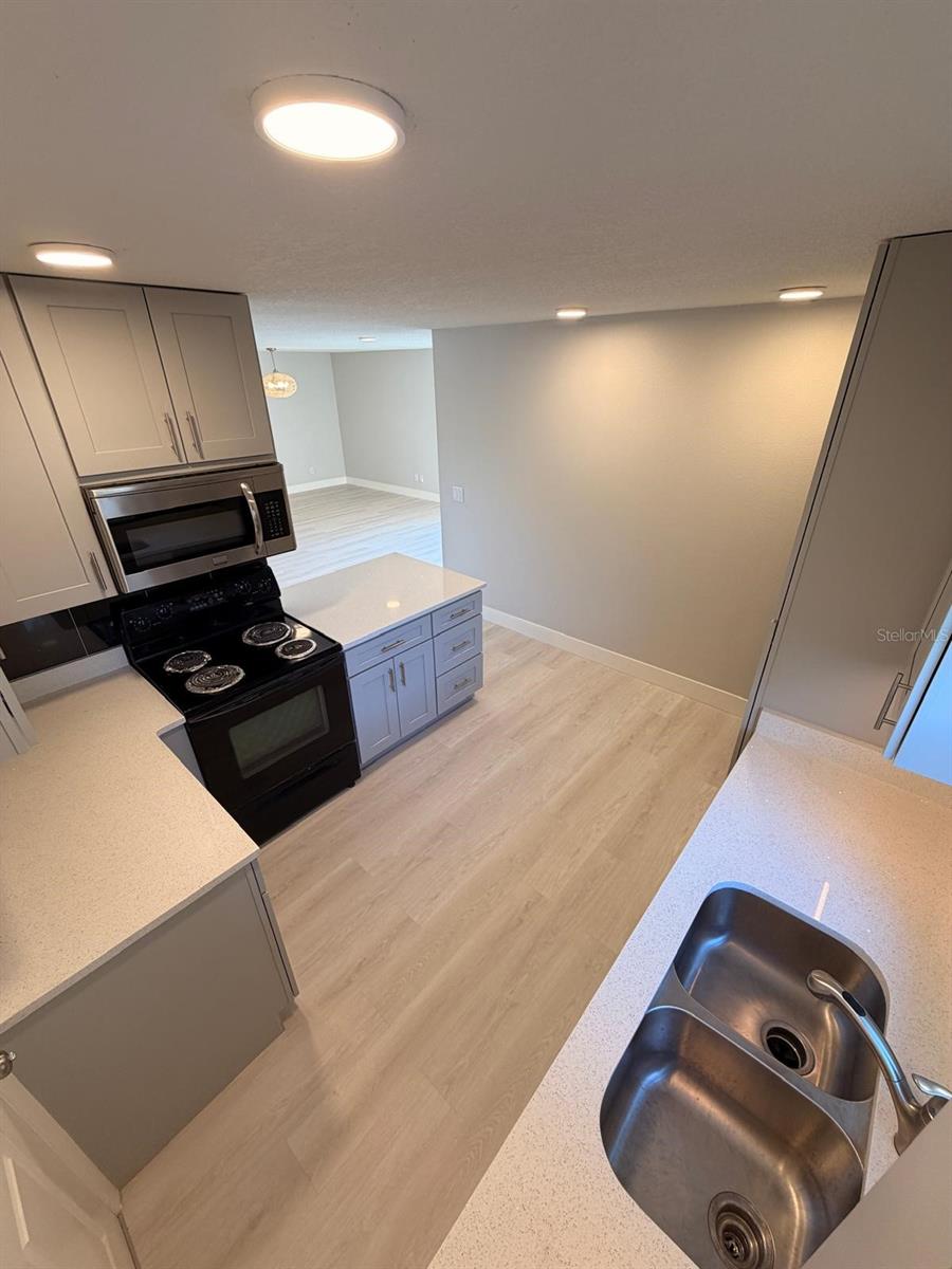 12216 FLORIDA WOODS LN, ORLANDO, FL, 32824
