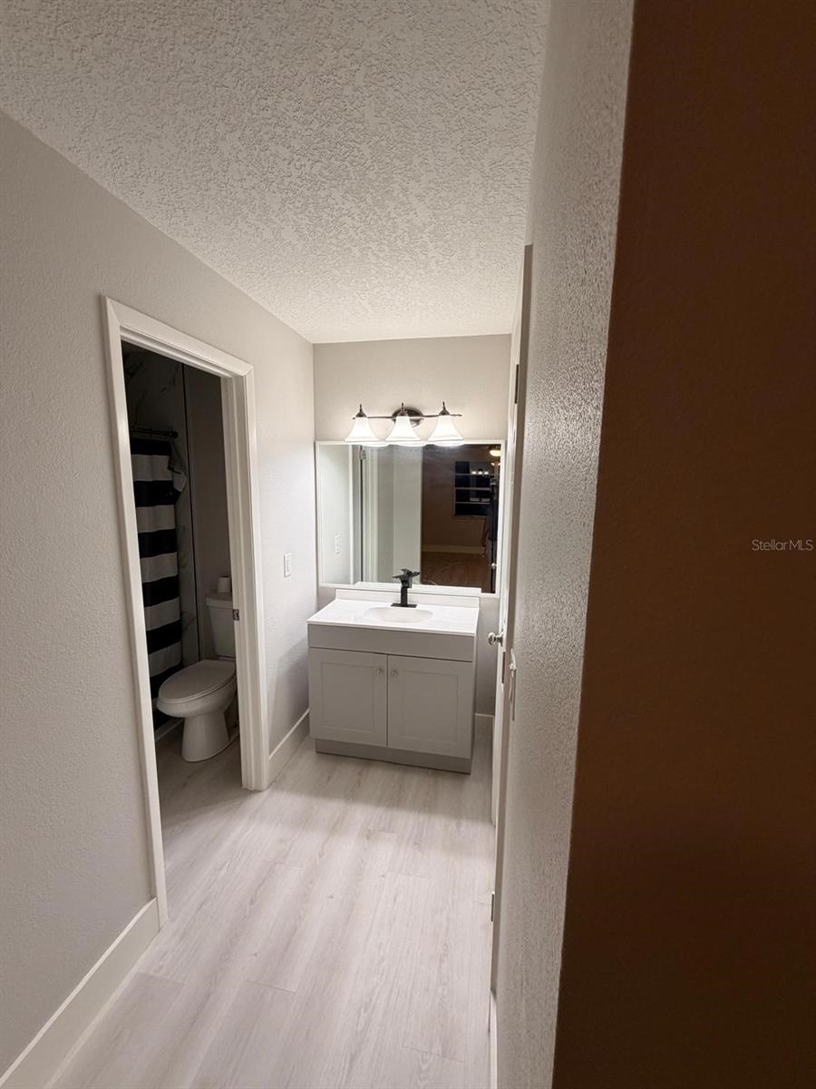 12216 FLORIDA WOODS LN, ORLANDO, FL, 32824