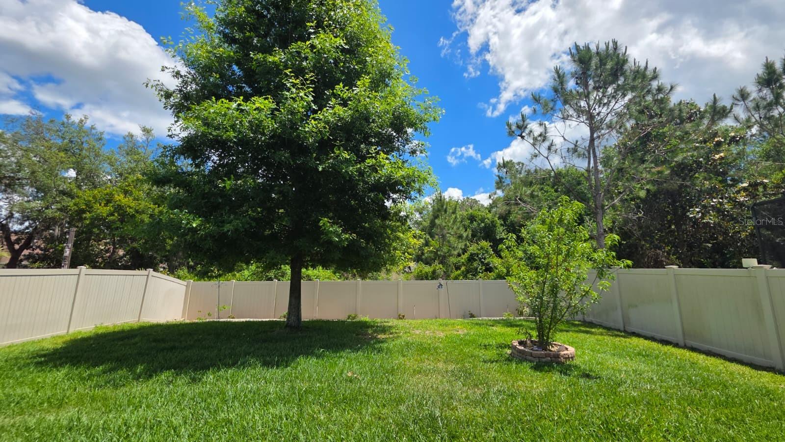 2317 AVELLINO AVE, ST CLOUD, FL, 34771