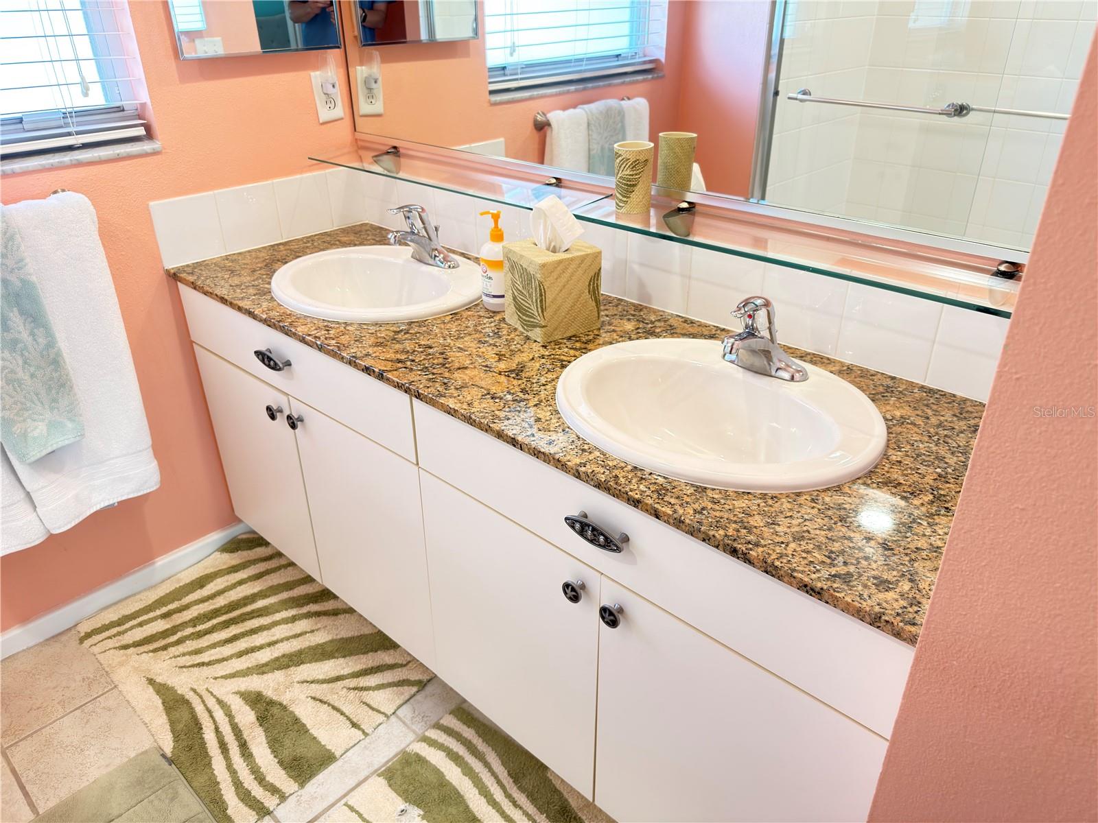 828 PADUA LN, CLEARWATER, FL, 33756