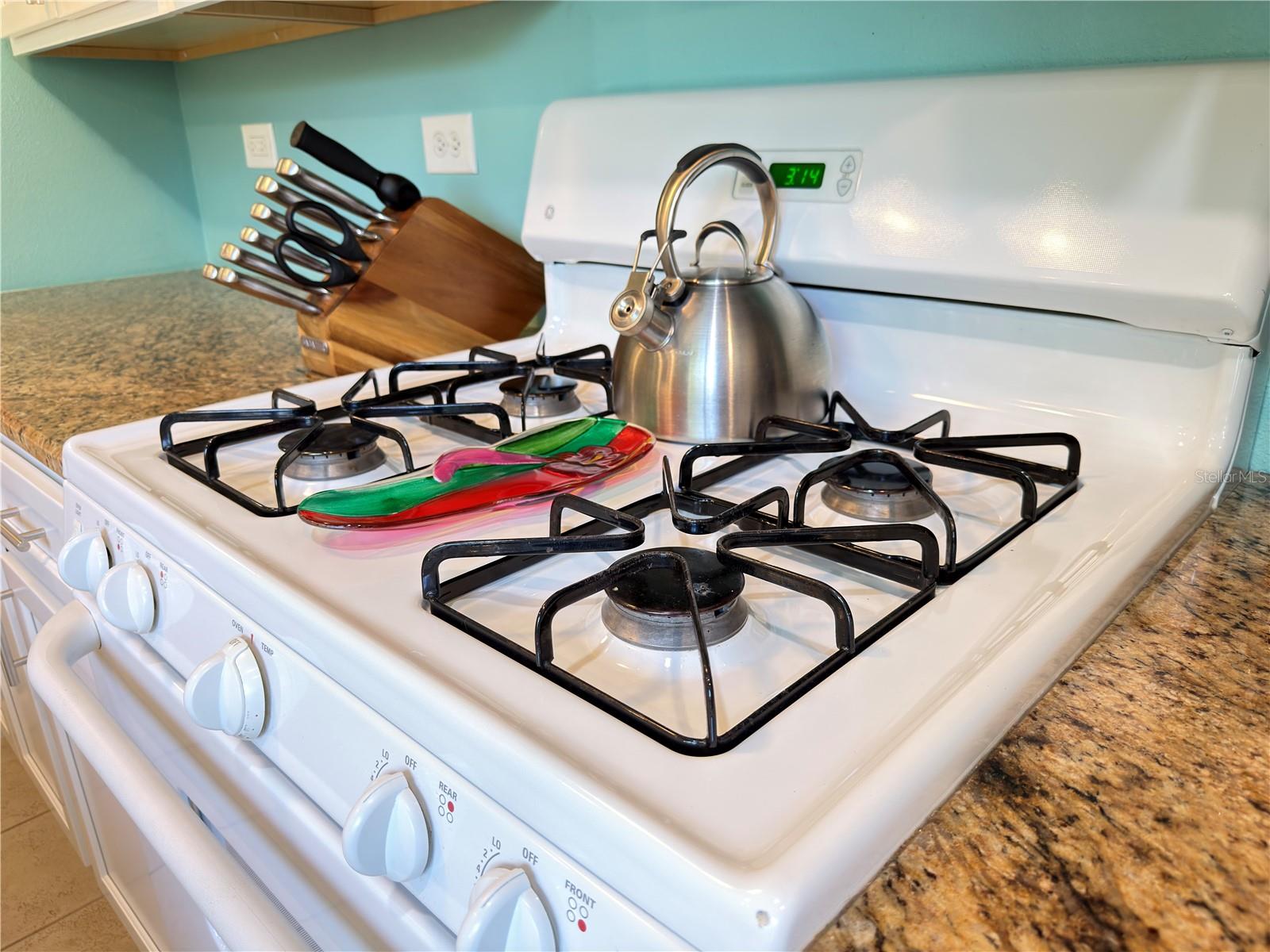 828 PADUA LN, CLEARWATER, FL, 33756