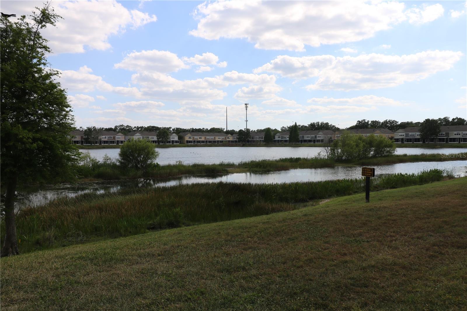 10165 HAVERHILL RIDGE DR, RIVERVIEW, FL, 33578