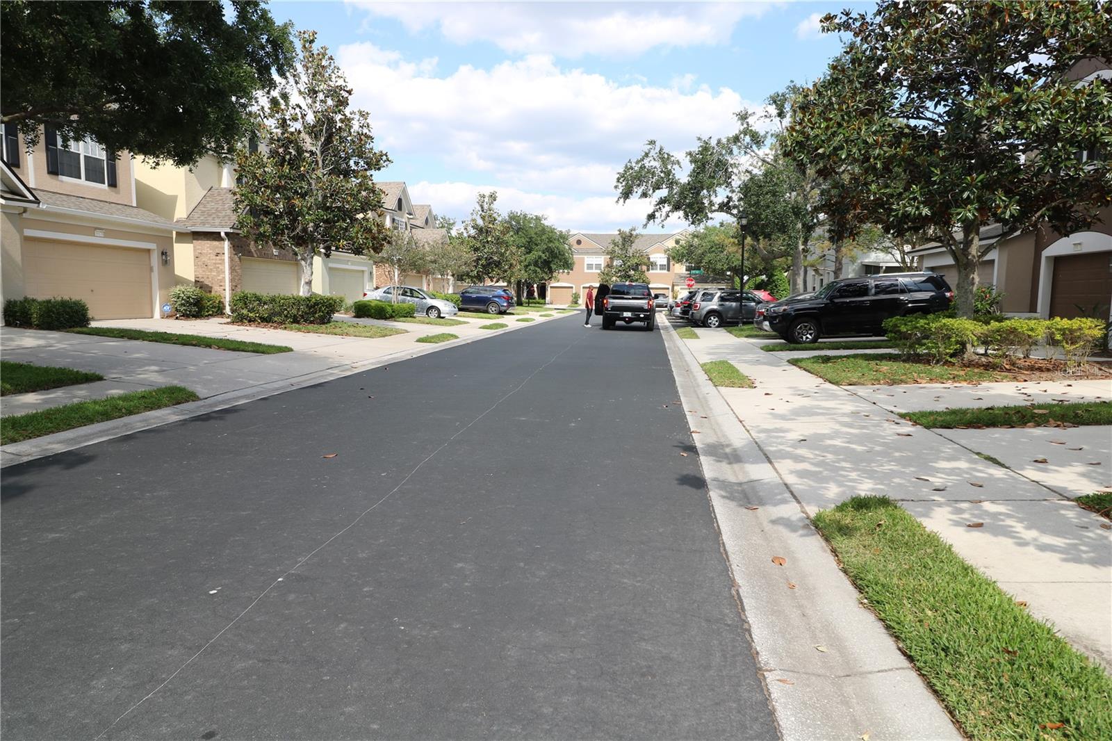 10165 HAVERHILL RIDGE DR, RIVERVIEW, FL, 33578