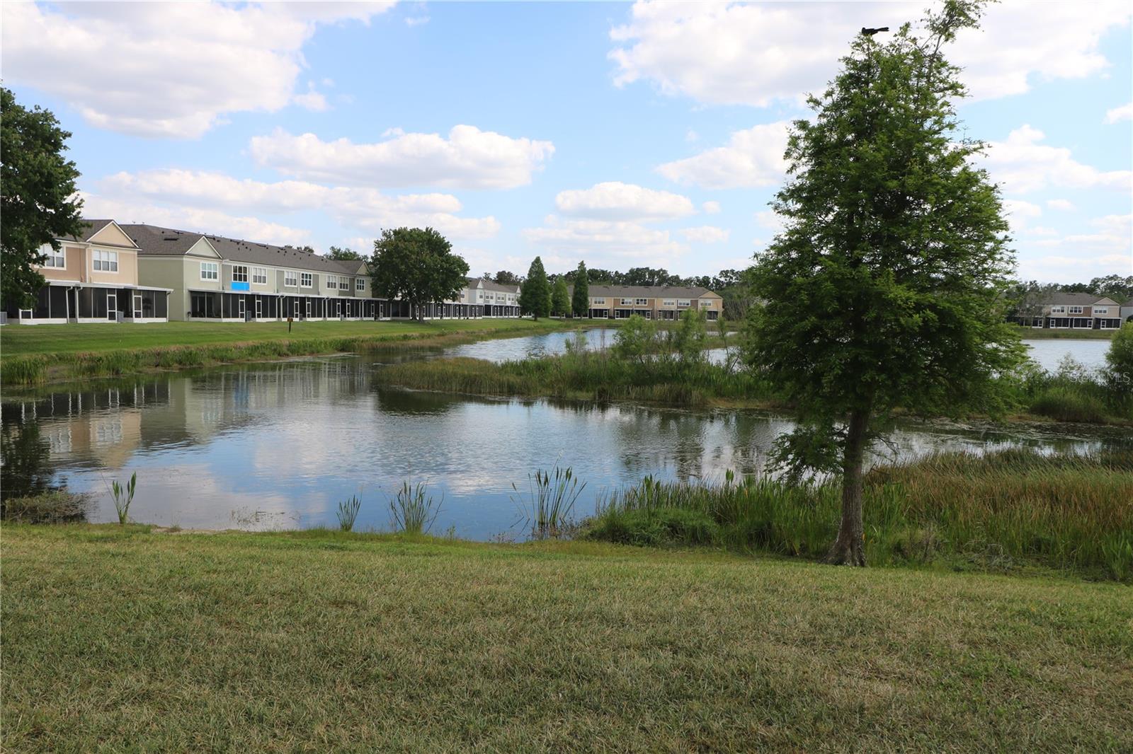 10165 HAVERHILL RIDGE DR, RIVERVIEW, FL, 33578