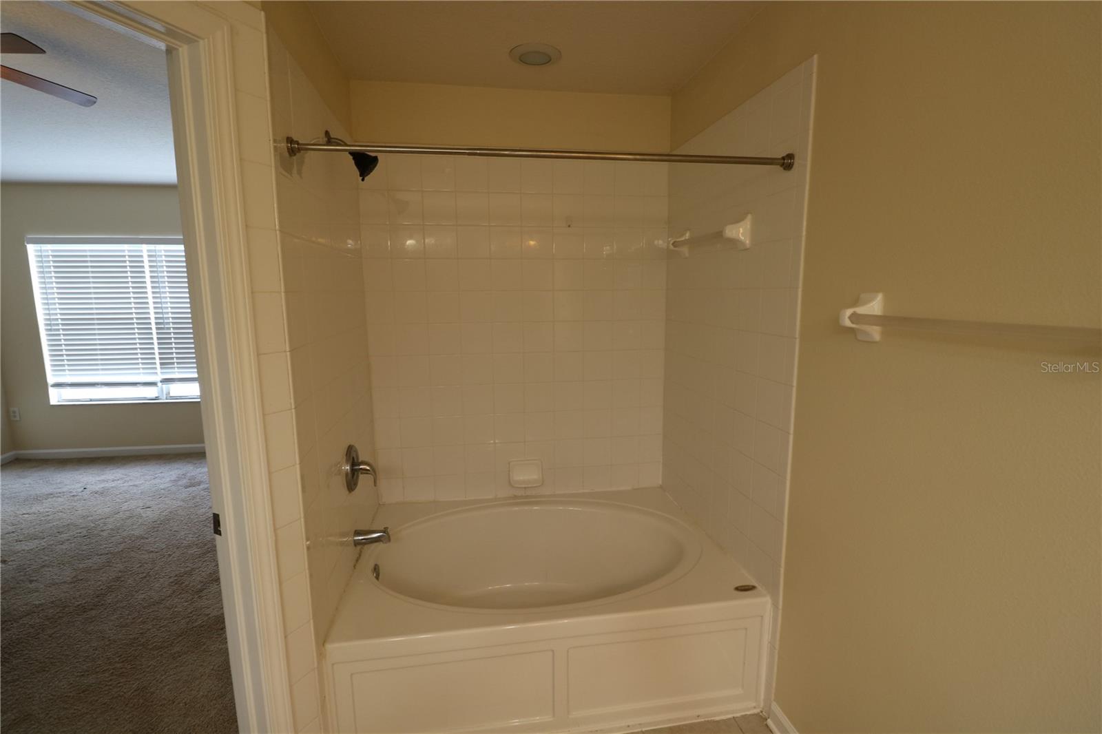 10165 HAVERHILL RIDGE DR, RIVERVIEW, FL, 33578