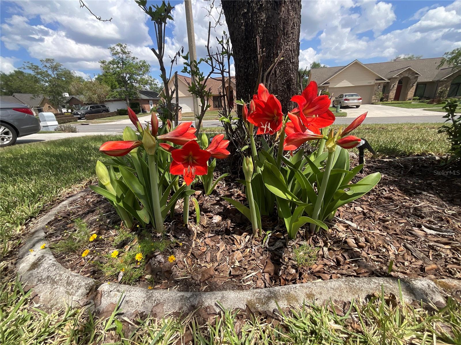 7406 MINT JULEP DR, RIVERVIEW, FL, 33578