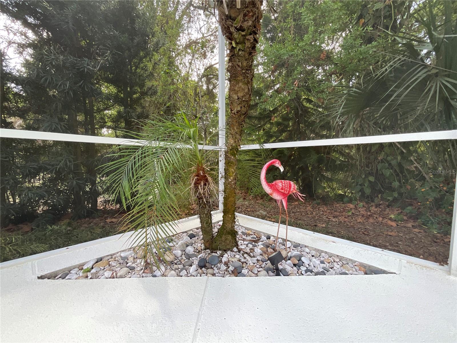7406 MINT JULEP DR, RIVERVIEW, FL, 33578