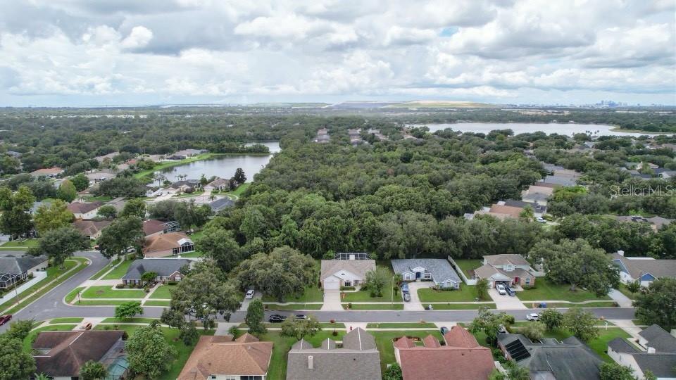 7406 MINT JULEP DR, RIVERVIEW, FL, 33578