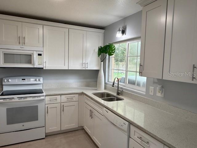 1337 LAKE ASHER CIR, APOPKA, FL, 32703