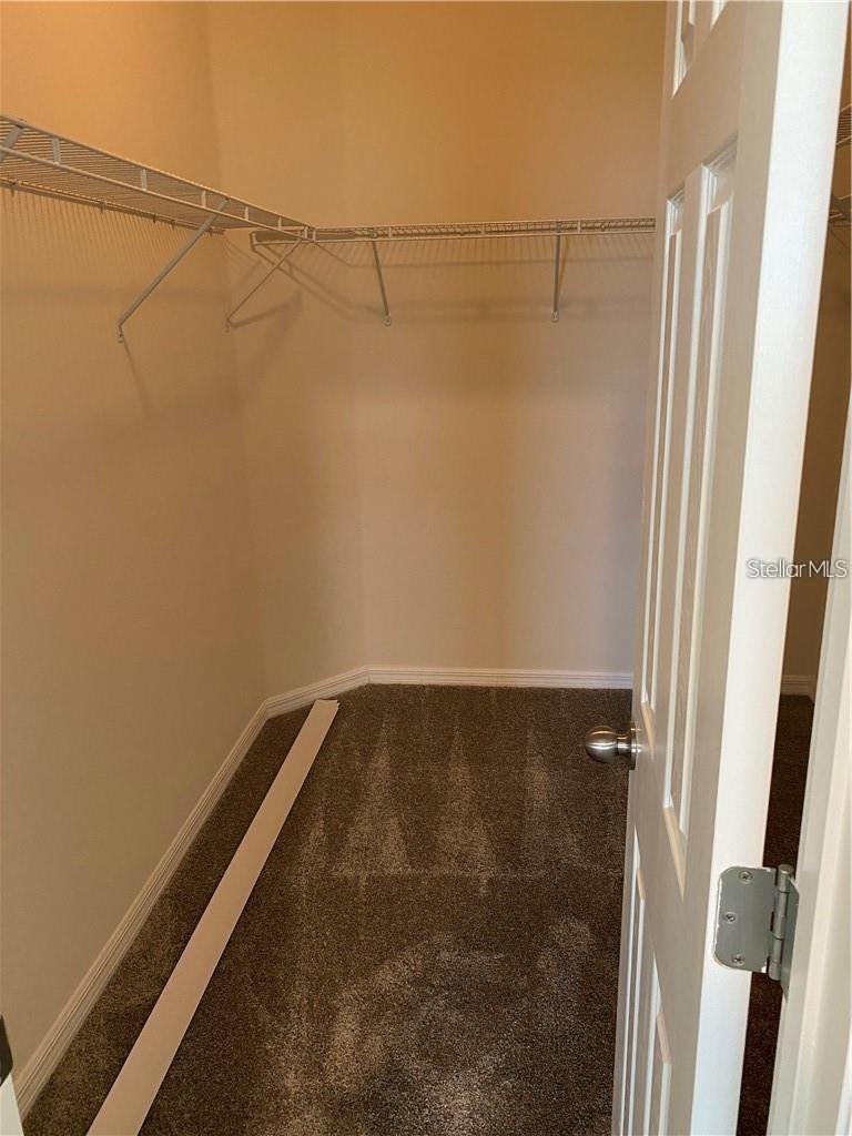 3534 VEGA CREEK DR, ST CLOUD, FL, 34772
