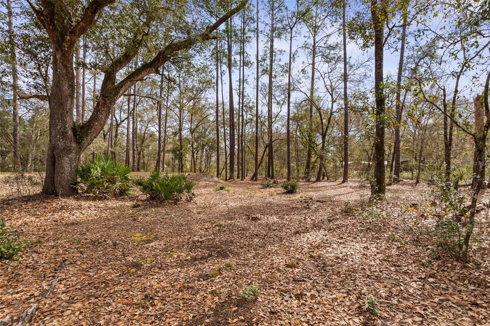 5055 FLAGLER ESTATES BLVD, HASTINGS, FL, 32145