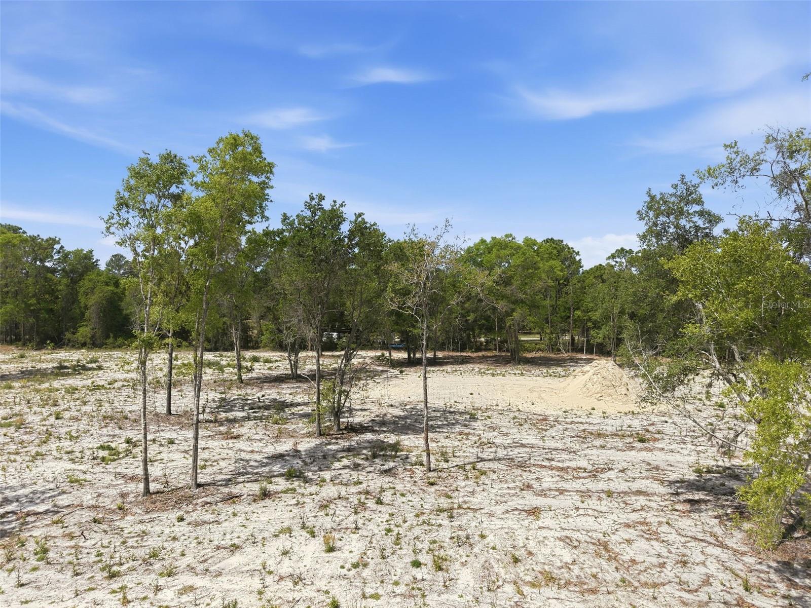 14235 CAROLINA DOVE RD, WEEKI WACHEE, FL, 34614