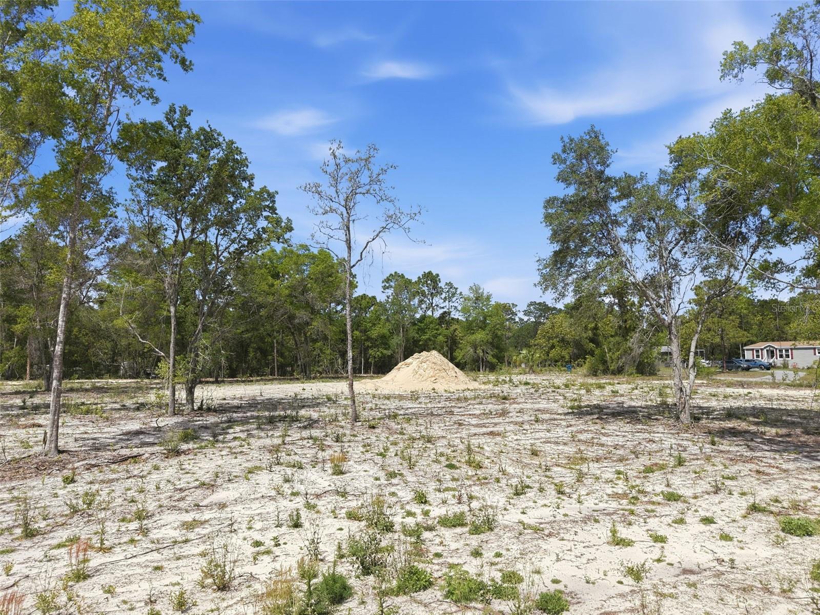 14235 CAROLINA DOVE RD, WEEKI WACHEE, FL, 34614