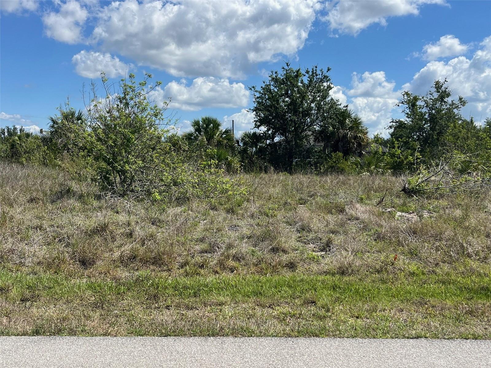 13598 ALLAMANDA CIR, PORT CHARLOTTE, FL, 33981
