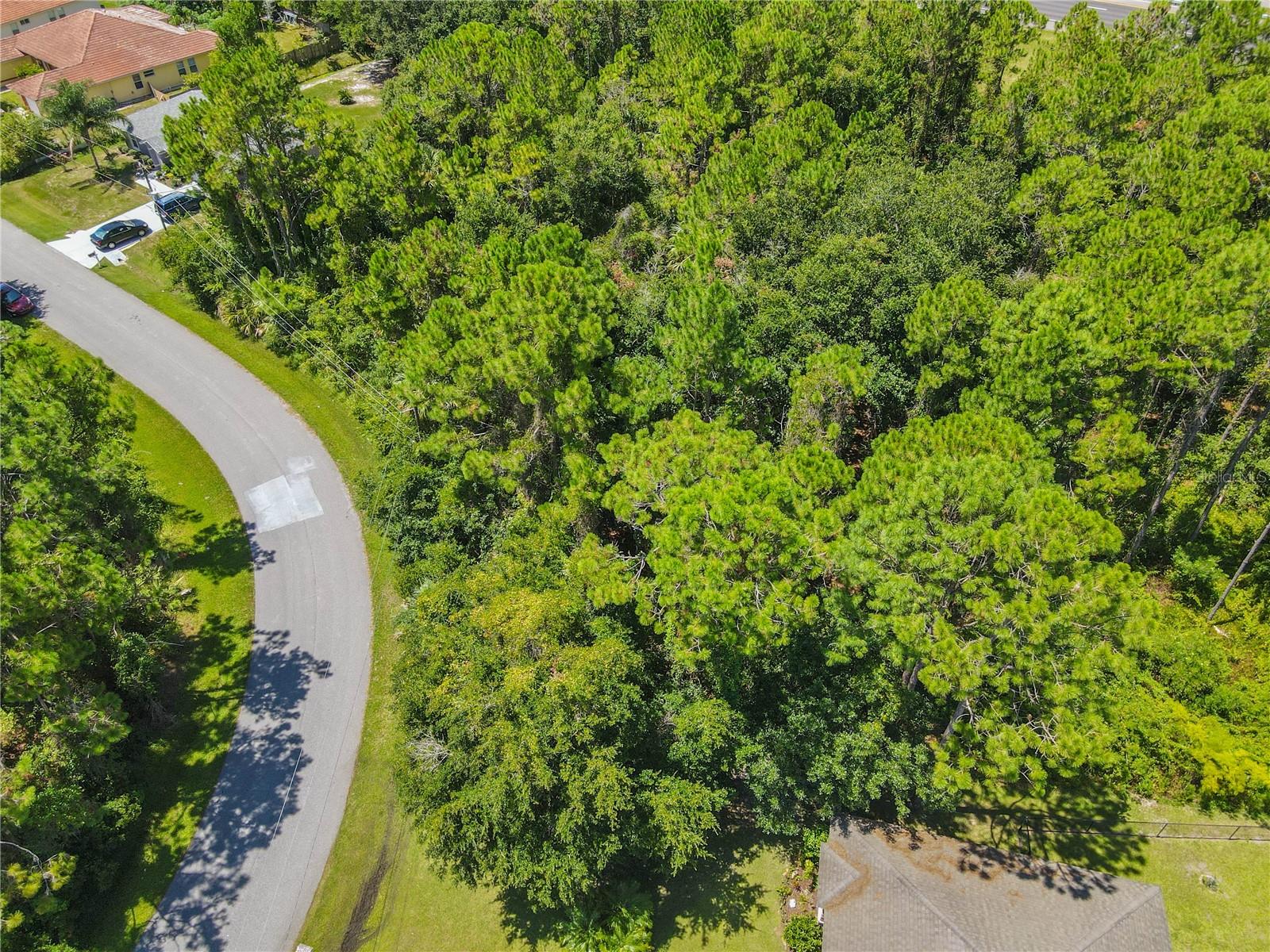 47 FANSHAWE LN, PALM COAST, FL, 32137