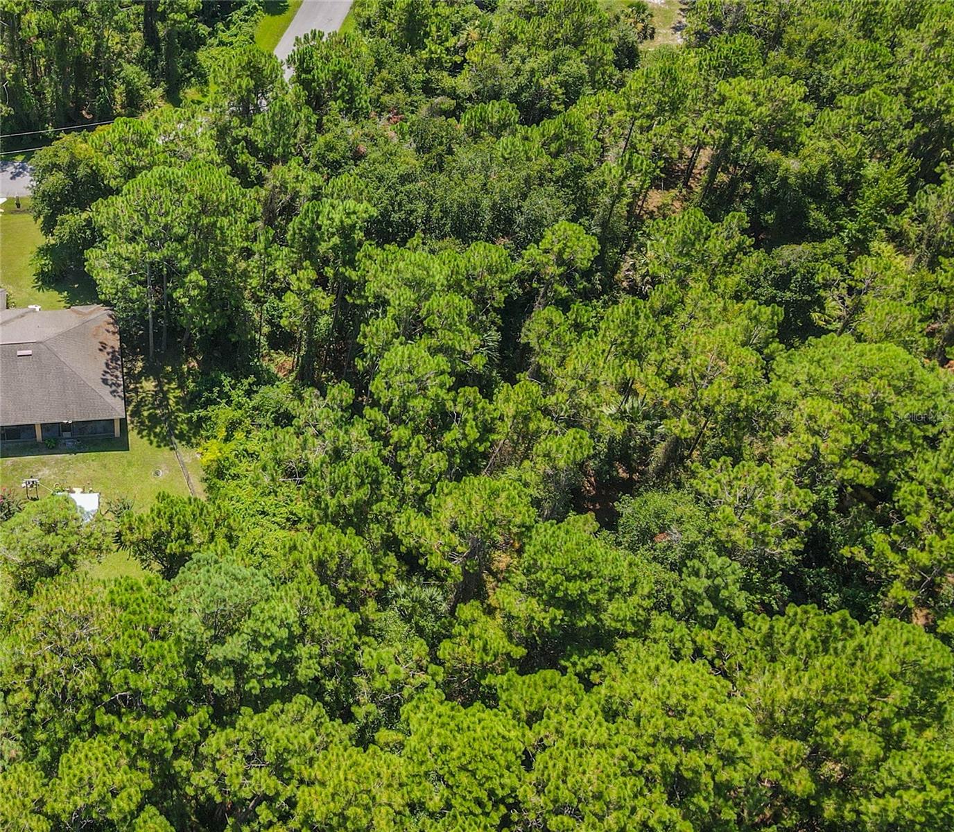 47 FANSHAWE LN, PALM COAST, FL, 32137