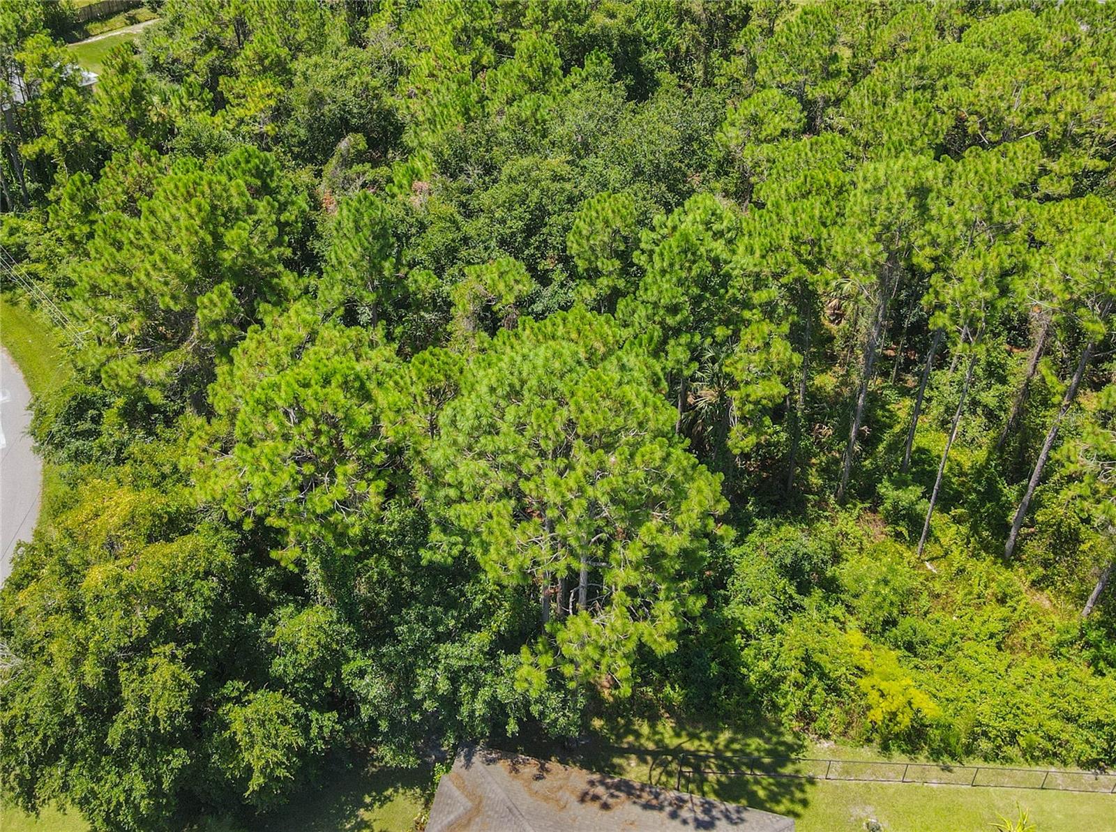 47 FANSHAWE LN, PALM COAST, FL, 32137