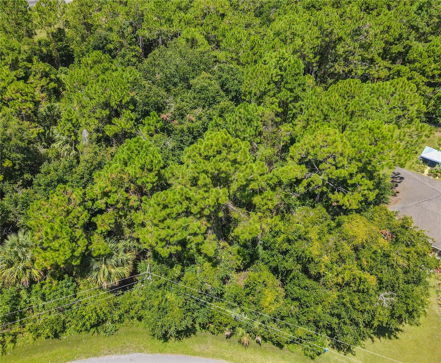 47 FANSHAWE LN, PALM COAST, FL, 32137